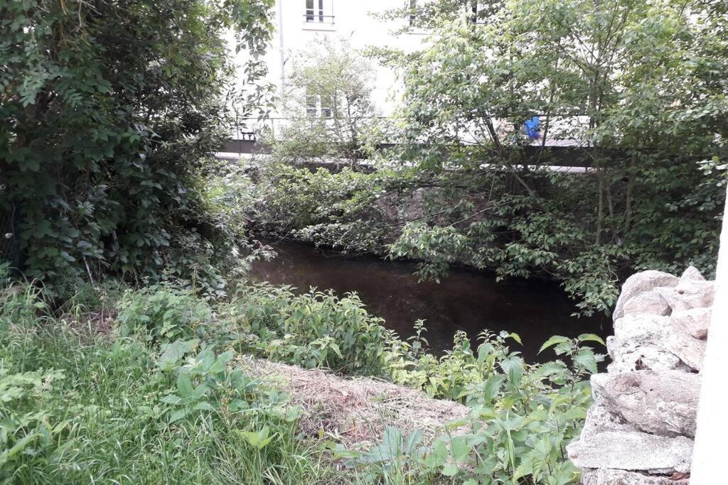 Loft Haut De Gamme Centre Montargis, Place De Parking, Local A Velos, Linge De Lits Et Serviettes, Coin Riviere Amenage, Hamac, Epicerie, Velos En Option, Tout Confort Jusqu'A 4 Voyageurs Luaran gambar