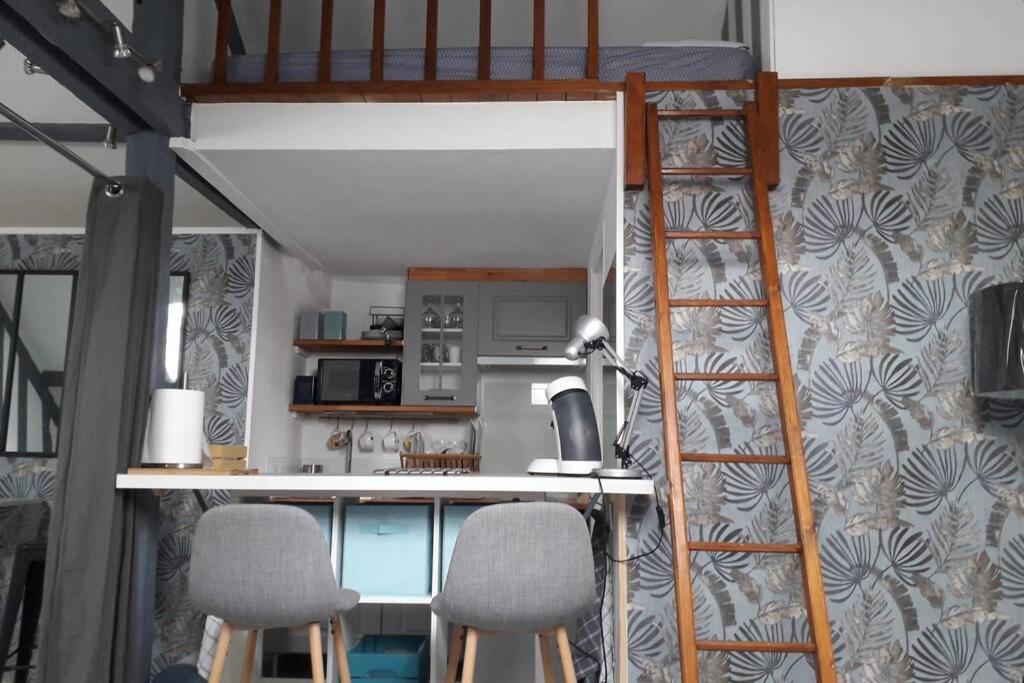 Loft Haut De Gamme Centre Montargis, Place De Parking, Local A Velos, Linge De Lits Et Serviettes, Coin Riviere Amenage, Hamac, Epicerie, Velos En Option, Tout Confort Jusqu'A 4 Voyageurs Luaran gambar