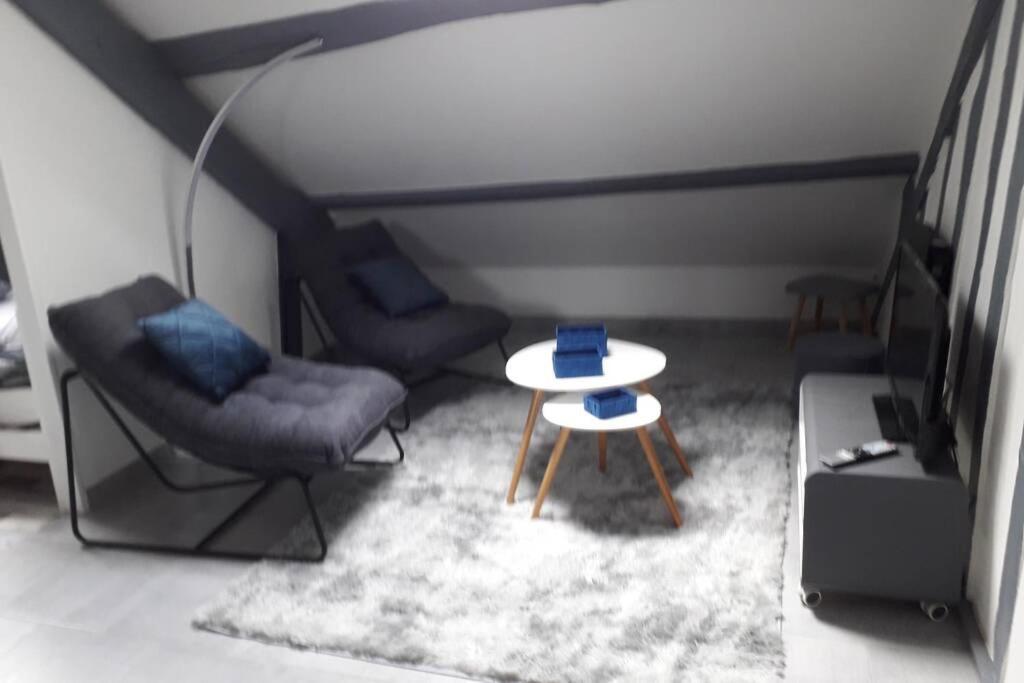Loft Haut De Gamme Centre Montargis, Place De Parking, Local A Velos, Linge De Lits Et Serviettes, Coin Riviere Amenage, Hamac, Epicerie, Velos En Option, Tout Confort Jusqu'A 4 Voyageurs Luaran gambar