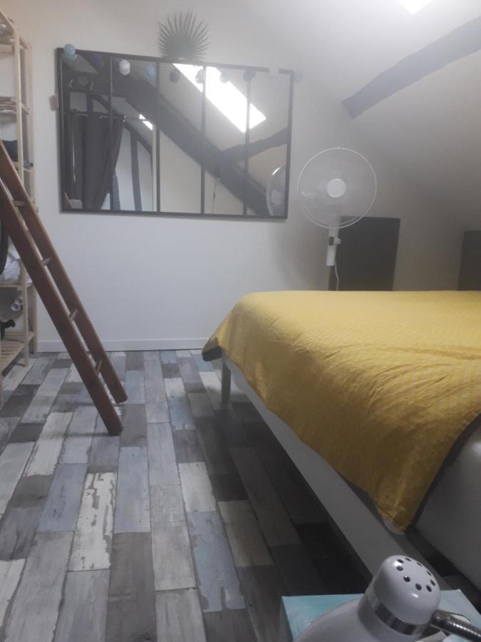 Loft Haut De Gamme Centre Montargis, Place De Parking, Local A Velos, Linge De Lits Et Serviettes, Coin Riviere Amenage, Hamac, Epicerie, Velos En Option, Tout Confort Jusqu'A 4 Voyageurs Luaran gambar