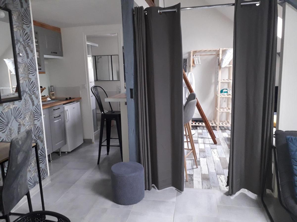 Loft Haut De Gamme Centre Montargis, Place De Parking, Local A Velos, Linge De Lits Et Serviettes, Coin Riviere Amenage, Hamac, Epicerie, Velos En Option, Tout Confort Jusqu'A 4 Voyageurs Luaran gambar