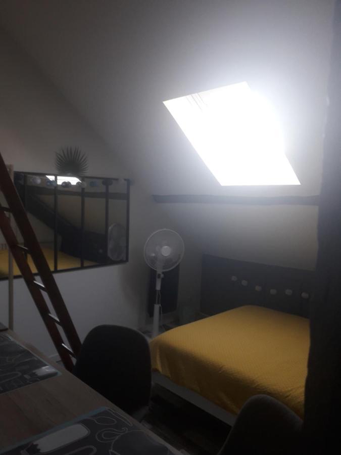 Loft Haut De Gamme Centre Montargis, Place De Parking, Local A Velos, Linge De Lits Et Serviettes, Coin Riviere Amenage, Hamac, Epicerie, Velos En Option, Tout Confort Jusqu'A 4 Voyageurs Luaran gambar