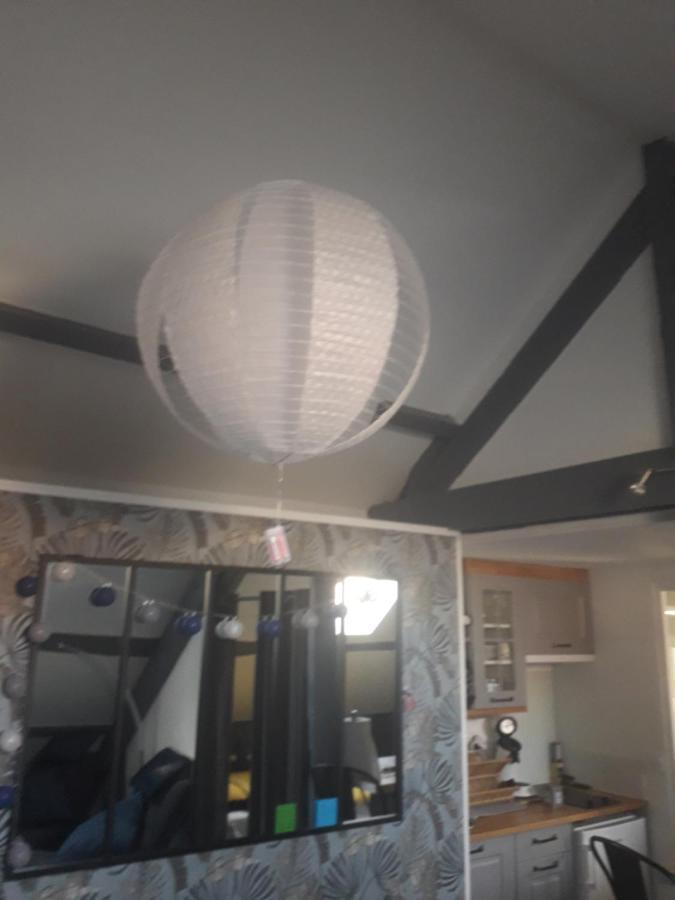 Loft Haut De Gamme Centre Montargis, Place De Parking, Local A Velos, Linge De Lits Et Serviettes, Coin Riviere Amenage, Hamac, Epicerie, Velos En Option, Tout Confort Jusqu'A 4 Voyageurs Luaran gambar