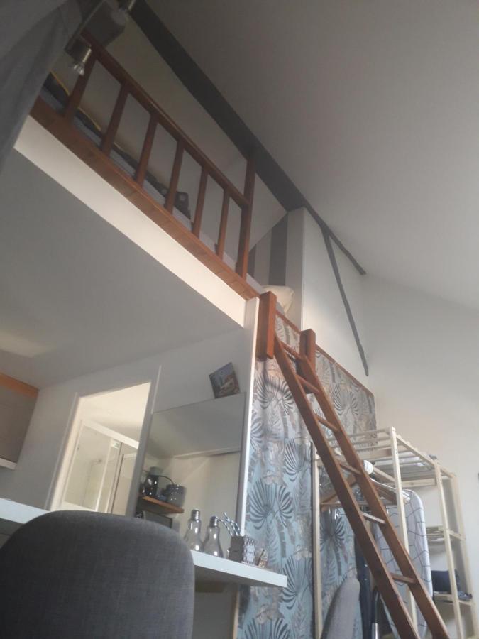 Loft Haut De Gamme Centre Montargis, Place De Parking, Local A Velos, Linge De Lits Et Serviettes, Coin Riviere Amenage, Hamac, Epicerie, Velos En Option, Tout Confort Jusqu'A 4 Voyageurs Luaran gambar