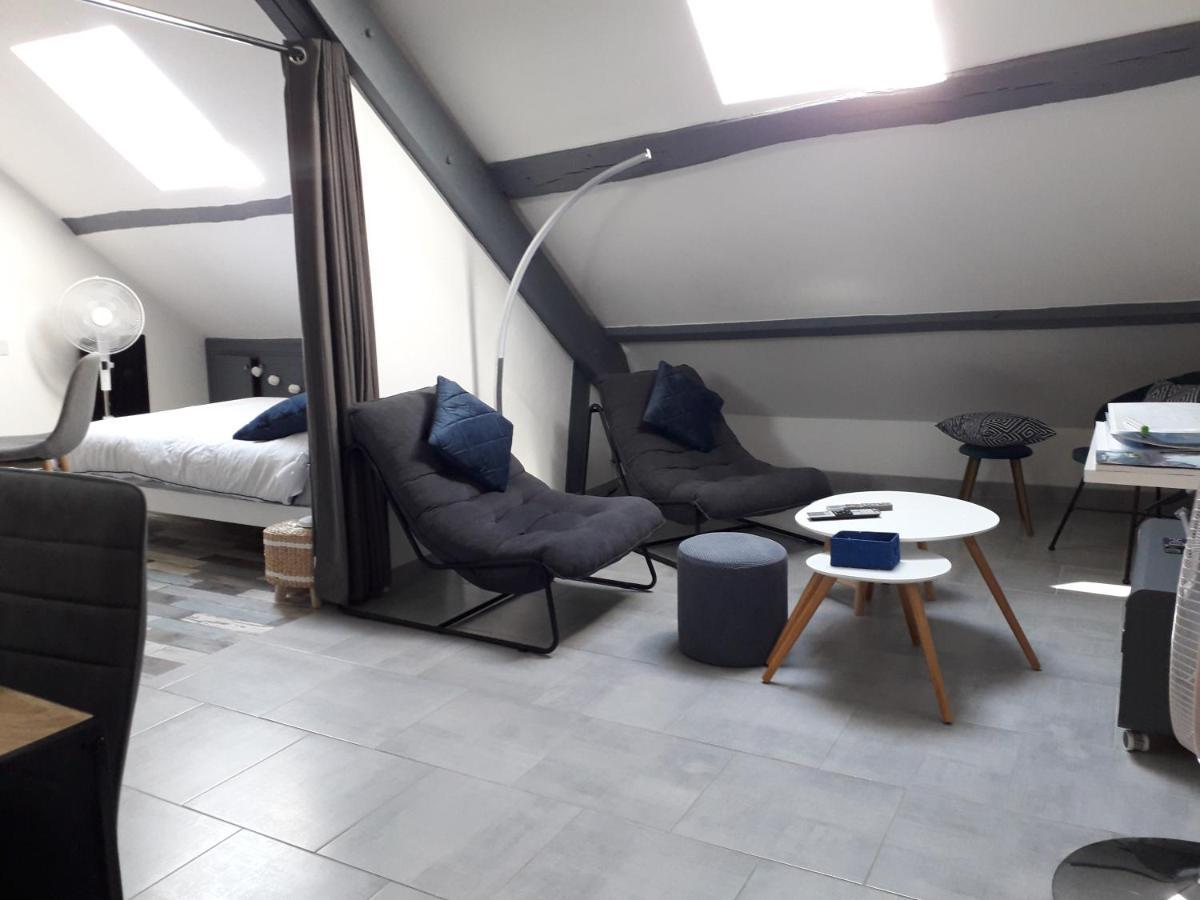 Loft Haut De Gamme Centre Montargis, Place De Parking, Local A Velos, Linge De Lits Et Serviettes, Coin Riviere Amenage, Hamac, Epicerie, Velos En Option, Tout Confort Jusqu'A 4 Voyageurs Luaran gambar