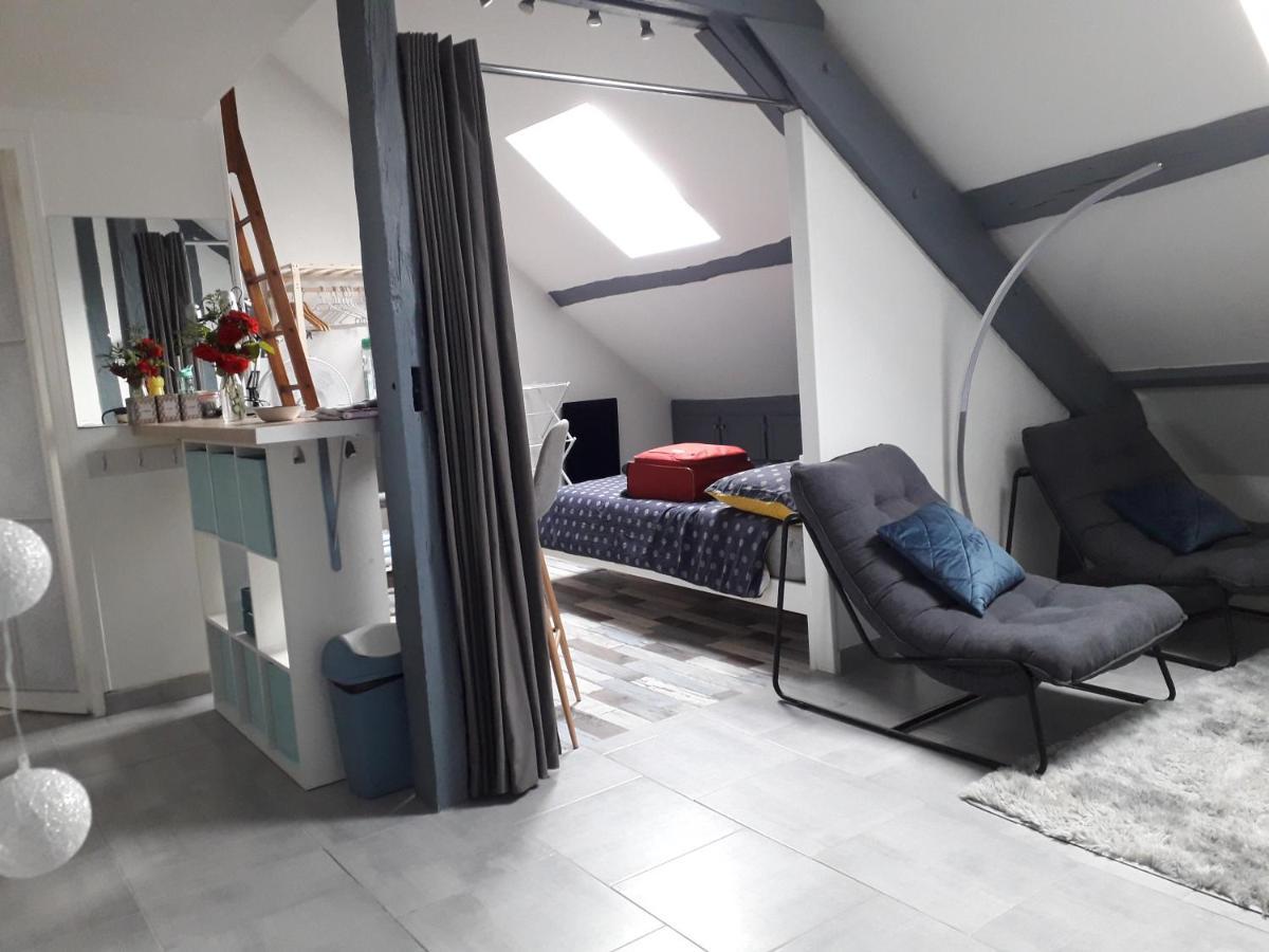 Loft Haut De Gamme Centre Montargis, Place De Parking, Local A Velos, Linge De Lits Et Serviettes, Coin Riviere Amenage, Hamac, Epicerie, Velos En Option, Tout Confort Jusqu'A 4 Voyageurs Luaran gambar