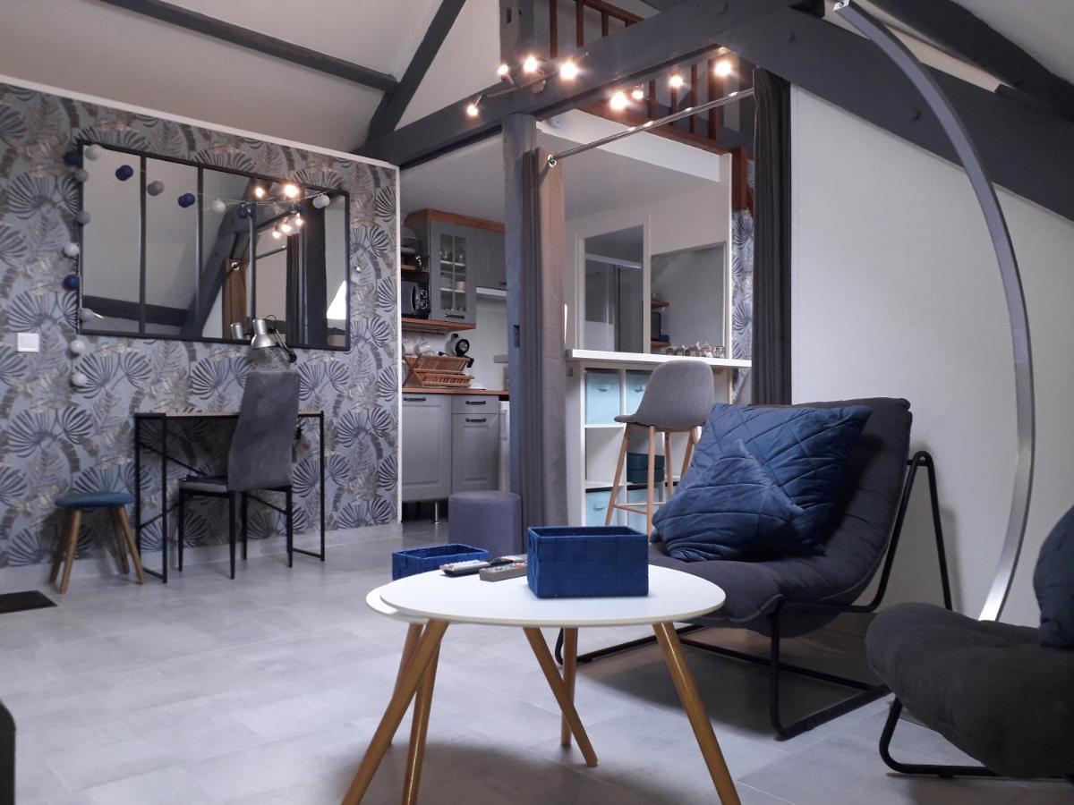 Loft Haut De Gamme Centre Montargis, Place De Parking, Local A Velos, Linge De Lits Et Serviettes, Coin Riviere Amenage, Hamac, Epicerie, Velos En Option, Tout Confort Jusqu'A 4 Voyageurs Luaran gambar